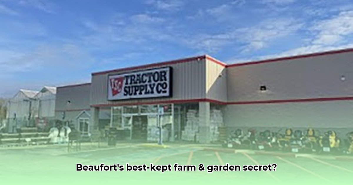 tractor-supply-beaufort-sc